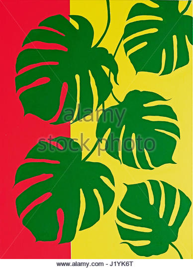 Philodendron Selloum (philodendron Selloum) Stock Photos.