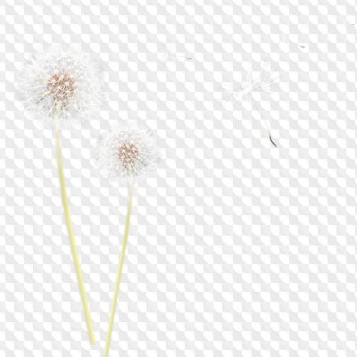 Flower Photoshop Overlays 27 High Quality PNG images Download.