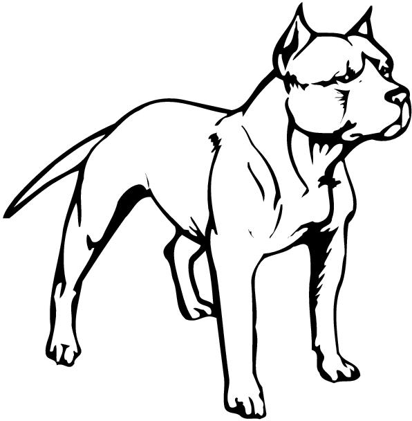 Pit Bull Clip Art.