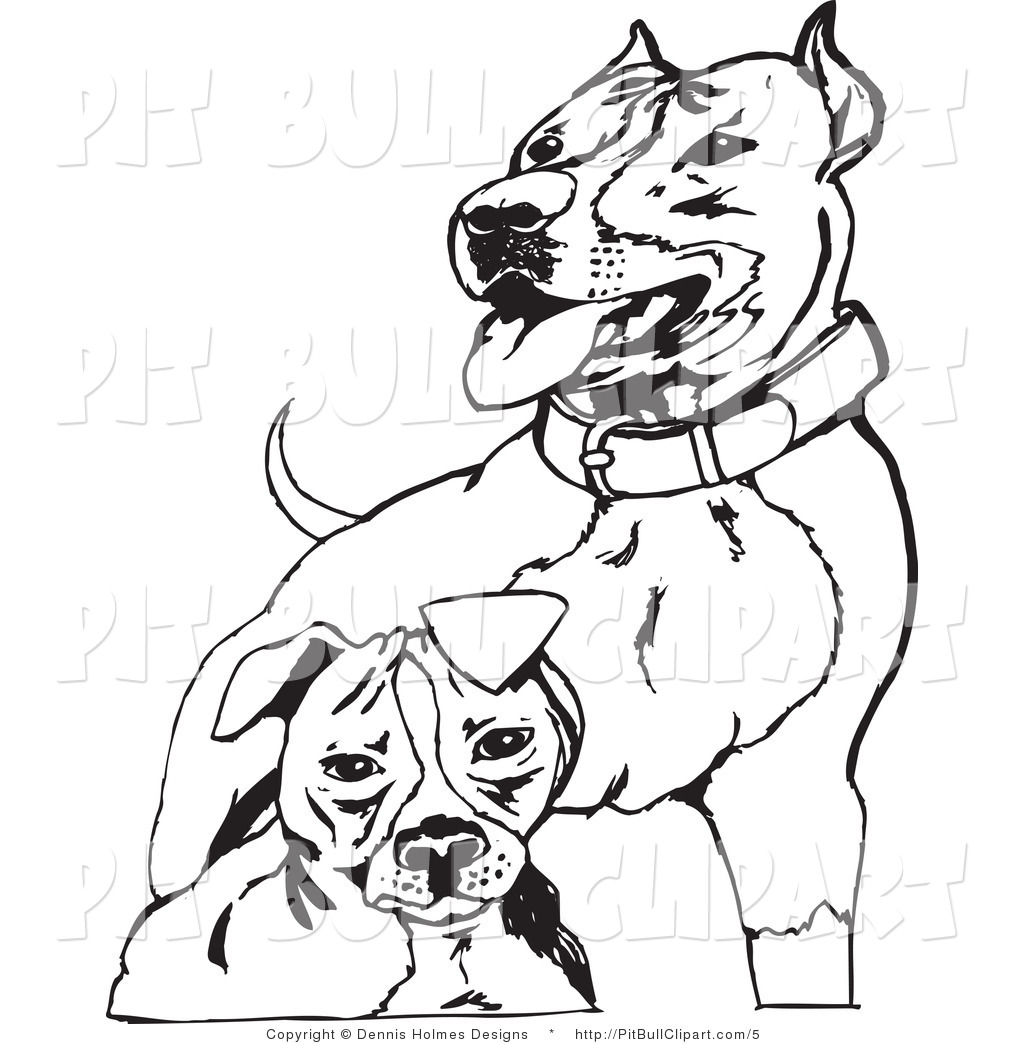 Royalty Free Pitbull Stock Pit Bull Designs.