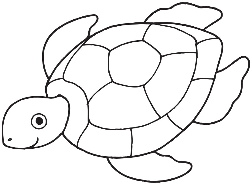 Best Turtle Clipart Black And White #12943.