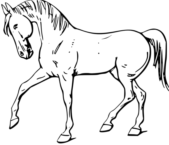 Free Clip art of Horse Clipart Black and White #152 Best Horse.