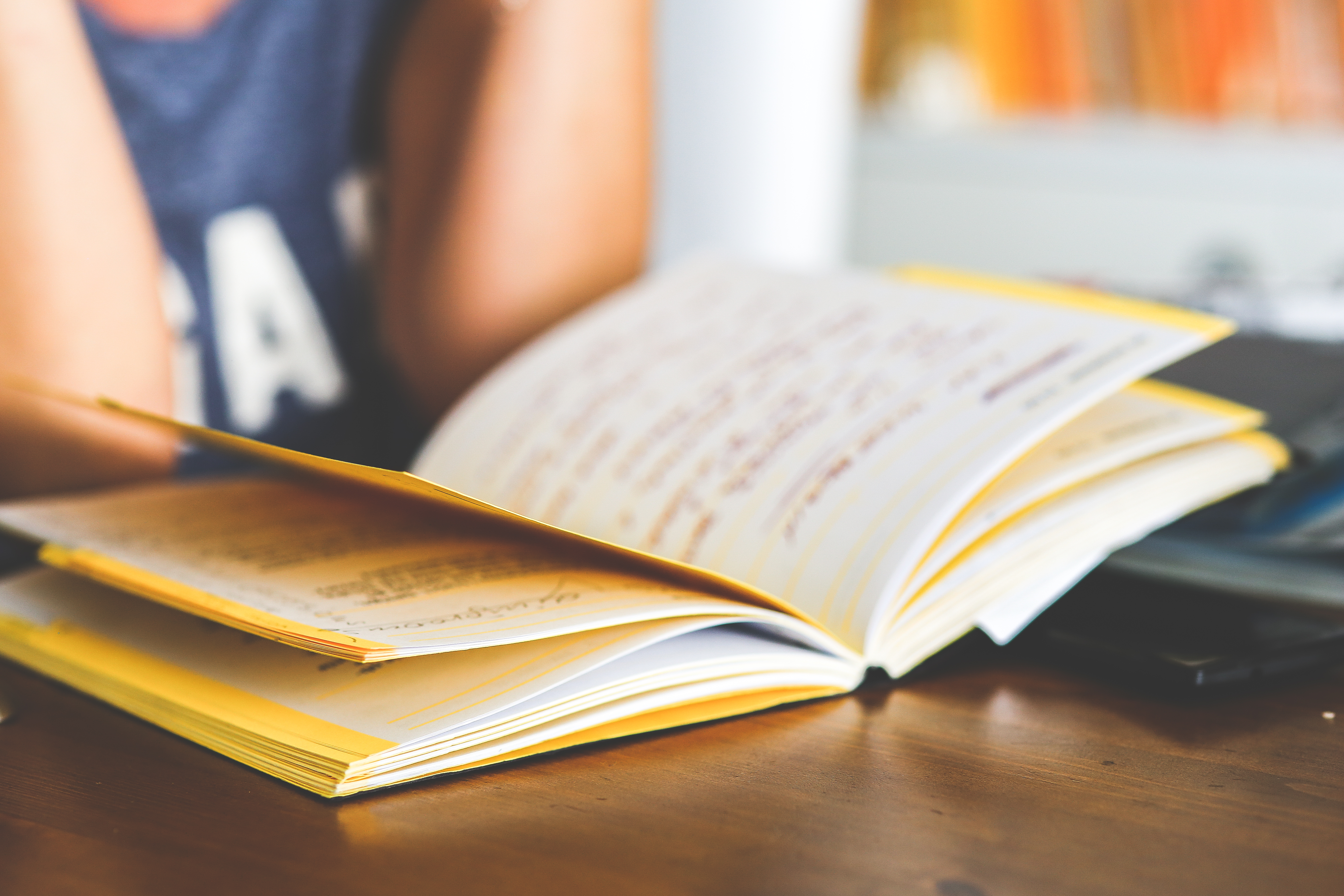 Girl reading a notebook · Free Stock Photo.