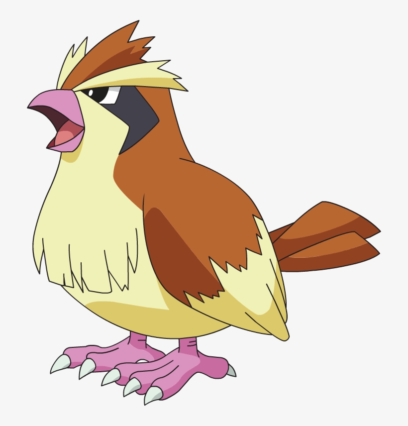 Pidgey.