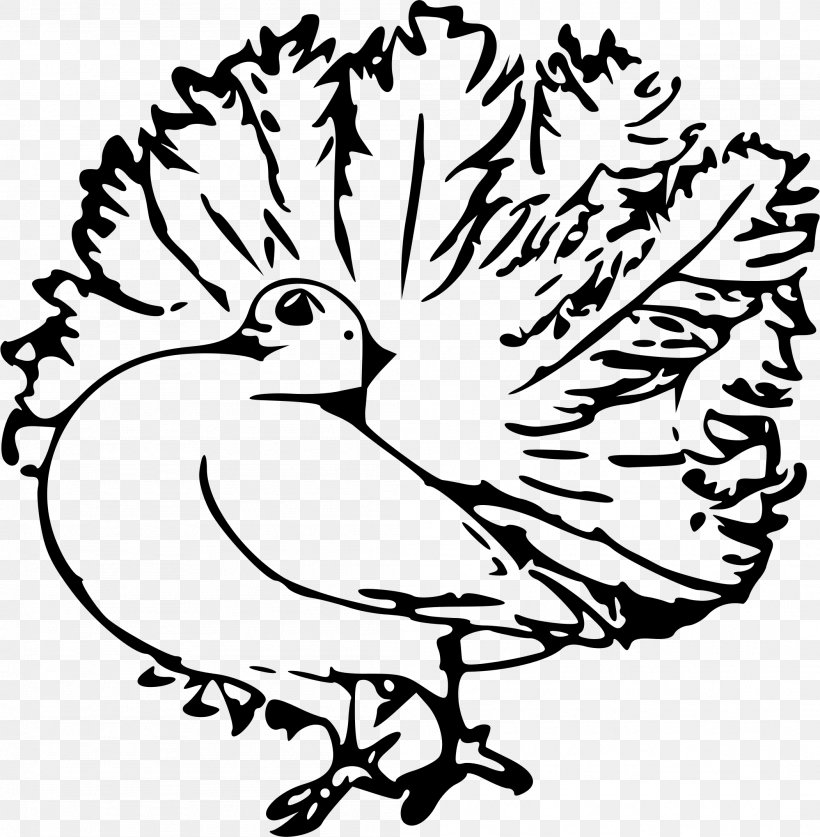 Homing Pigeon English Carrier Pigeon Columbidae Clip Art.