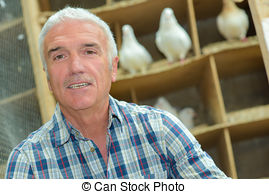 Pigeon loft Stock Photos and Images. 121 Pigeon loft pictures and.