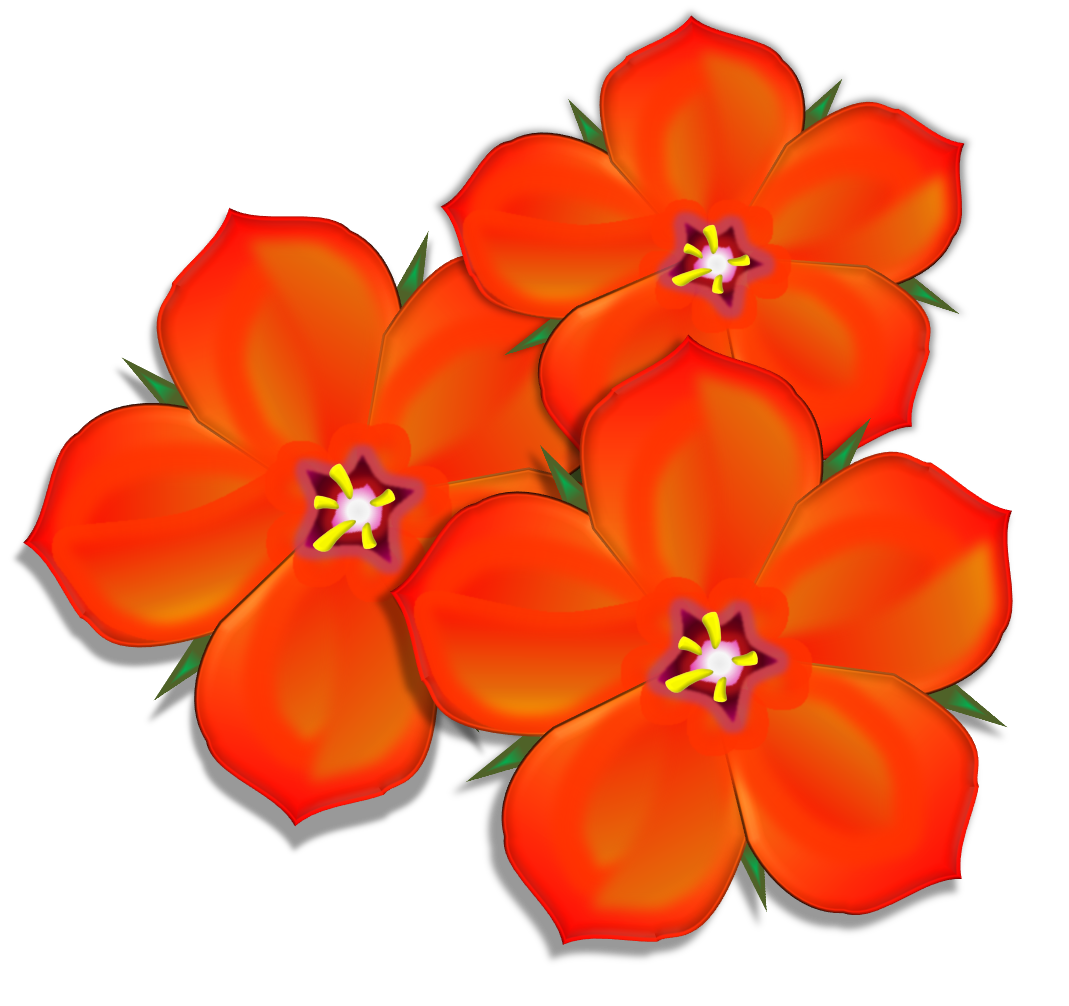 Scarlet Pimpernel Group.