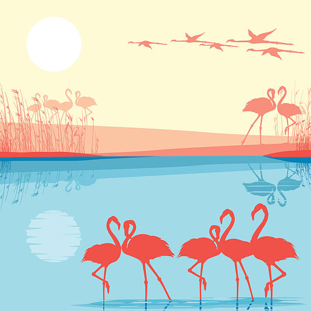 Pink Lake In Africa Clip Art, Vector Images & Illustrations.