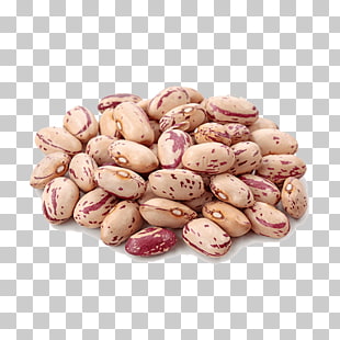 65 pinto Bean PNG cliparts for free download.