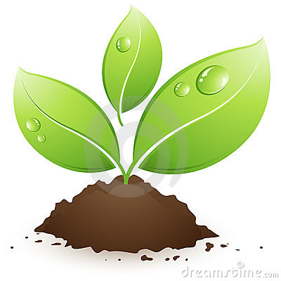 Green Plant Clipart.