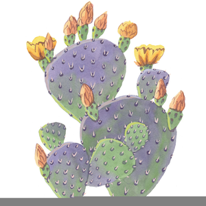 Prickly Pear Cactus Clipart.