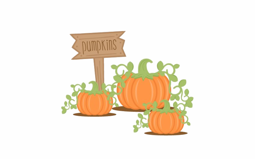 Pumpkin PNG Images Transparent Free Download.