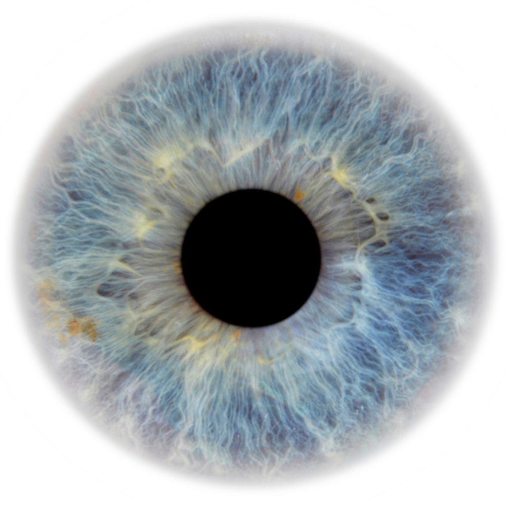 Eye Pupil PNG Image Transparent.