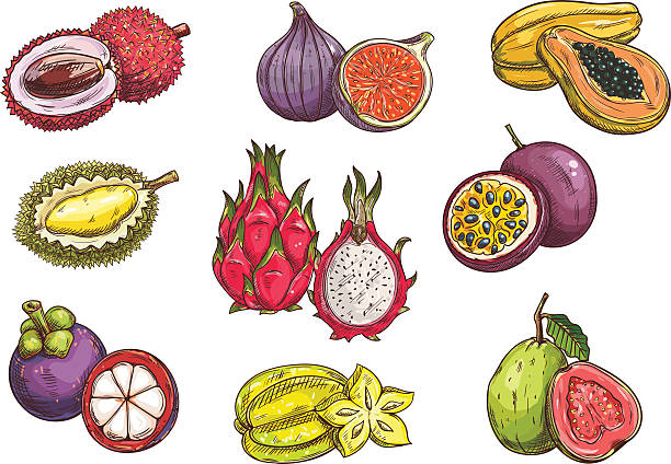 Purple Granadilla Clip Art, Vector Images & Illustrations.