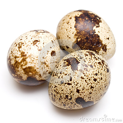 Quail egg clipart.