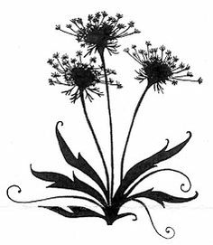 Queen Anne's Lace tattoo.