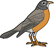 Free Robin Cliparts, Download Free Clip Art, Free Clip Art.