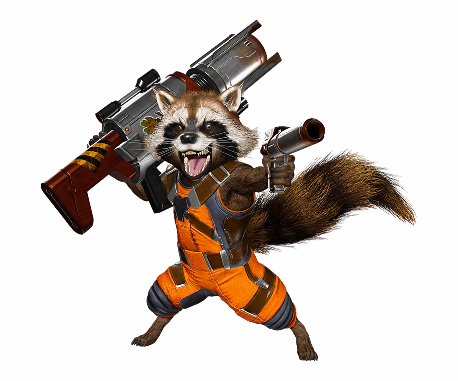 Raccoon Transparent Images.