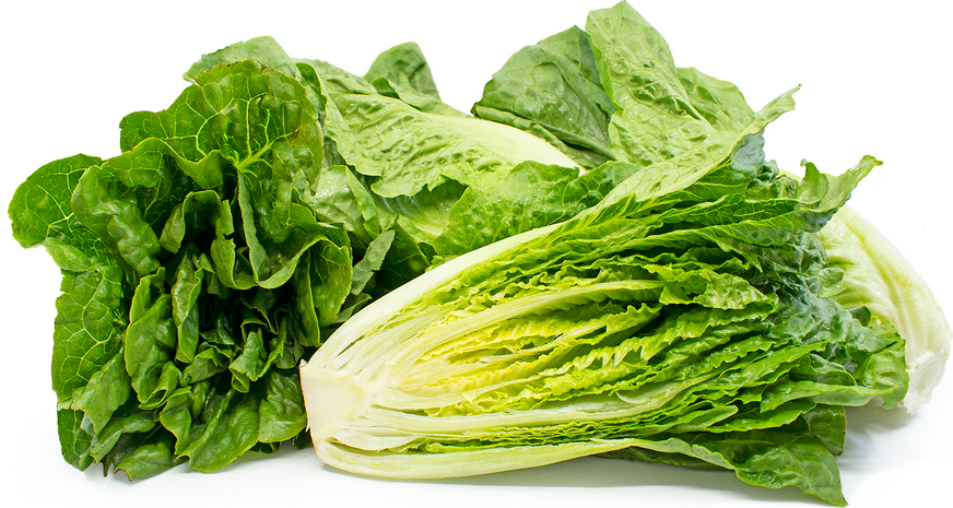 Romaine Lettuce Information, Recipes and Facts.