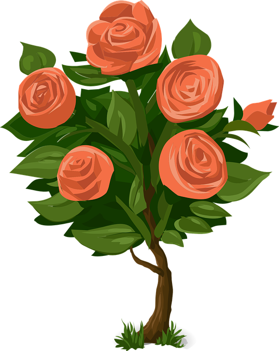 Nature clipart rose flower.