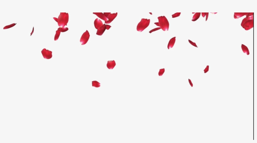 Rose Petals Png Pic.