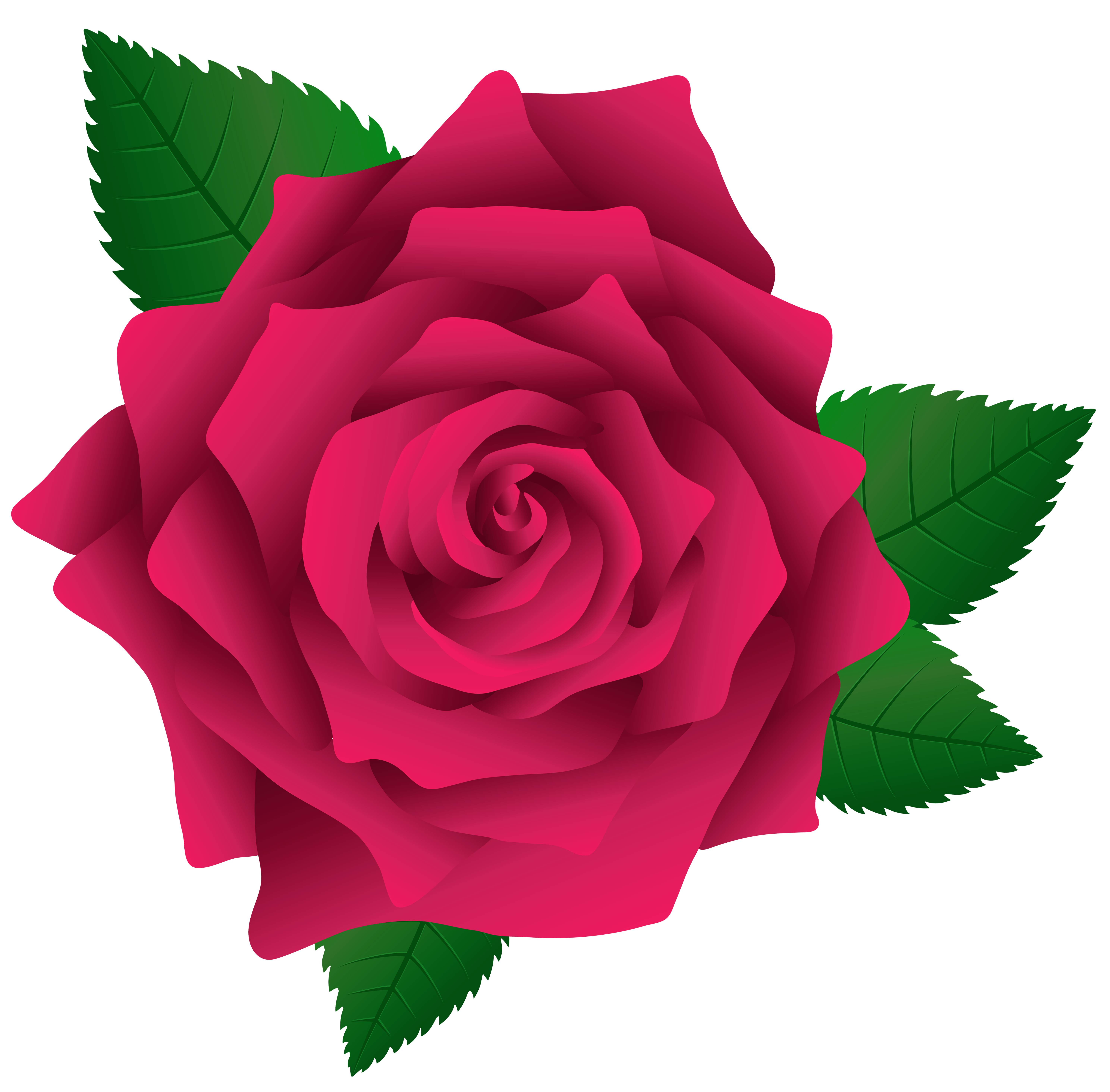 Pink Rose PNG Image Clipart.