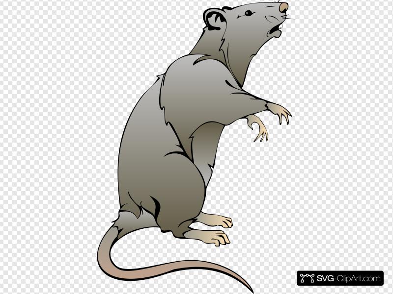 Rat Clip art, Icon and SVG.