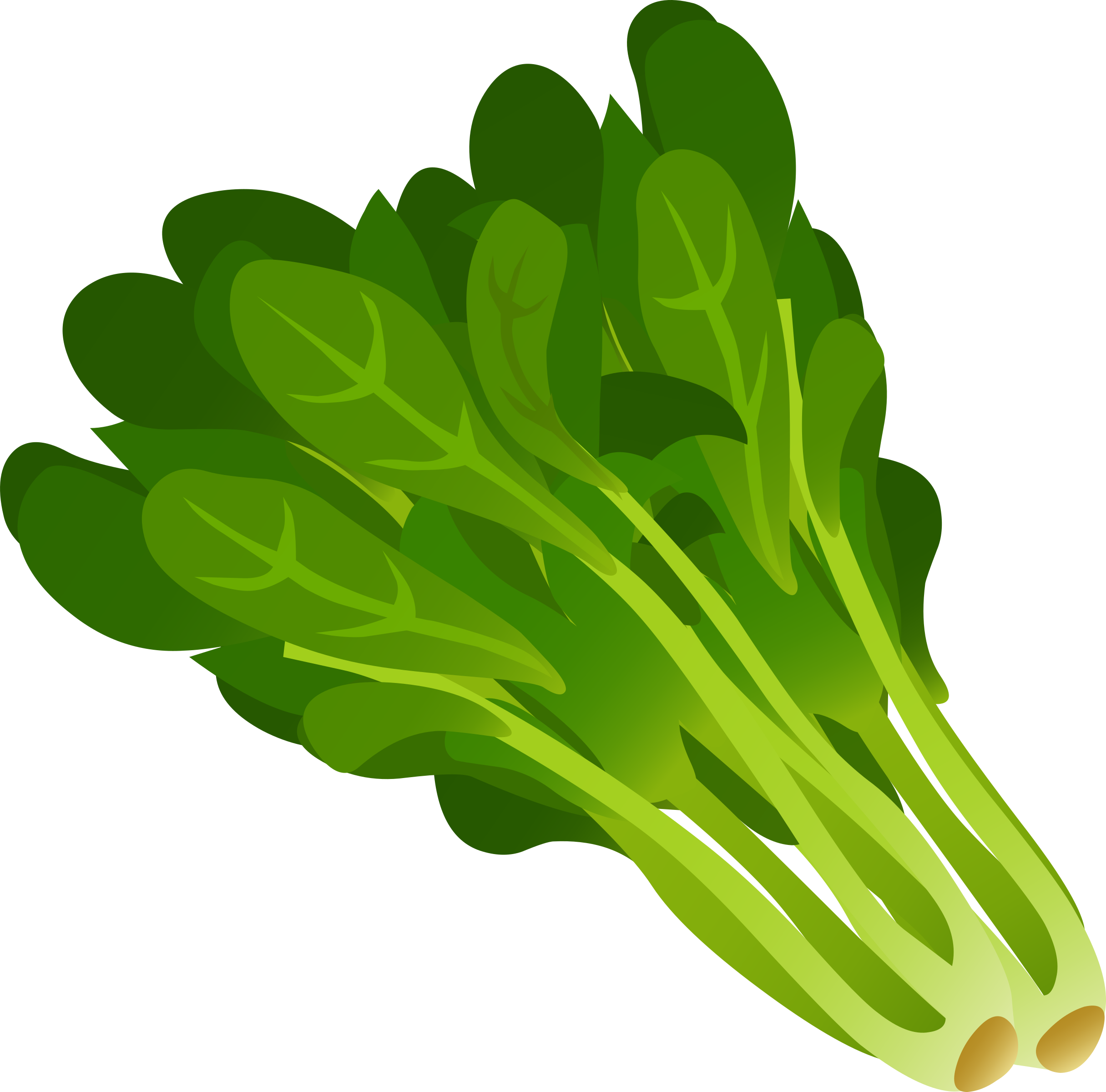 Spinich clip art clipart.