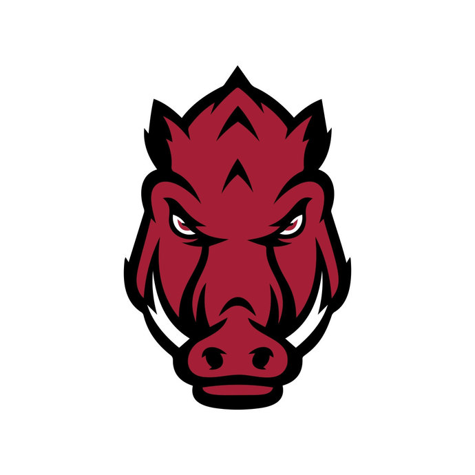 Arkansas Razorbacks Head Cricut Silhouette graphics design SVG DXF EPS Png  Cdr Ai Vector Art Clipart Digital Instant download Cut Print File.