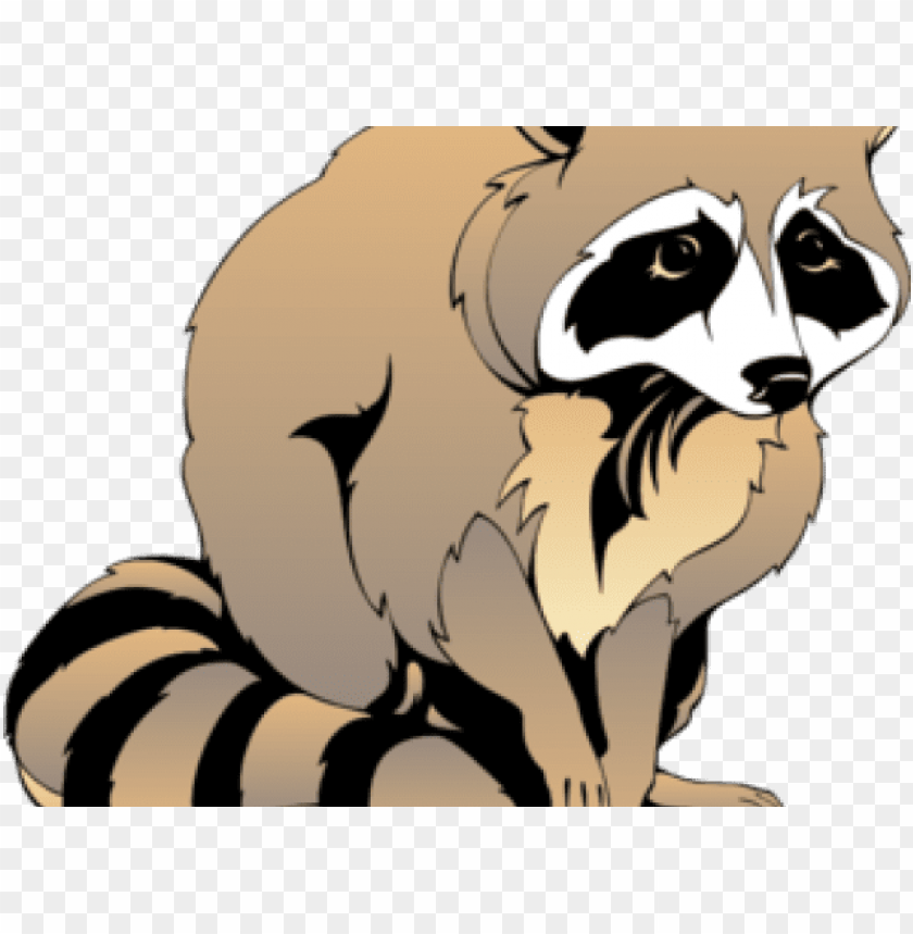 racoon clipart.