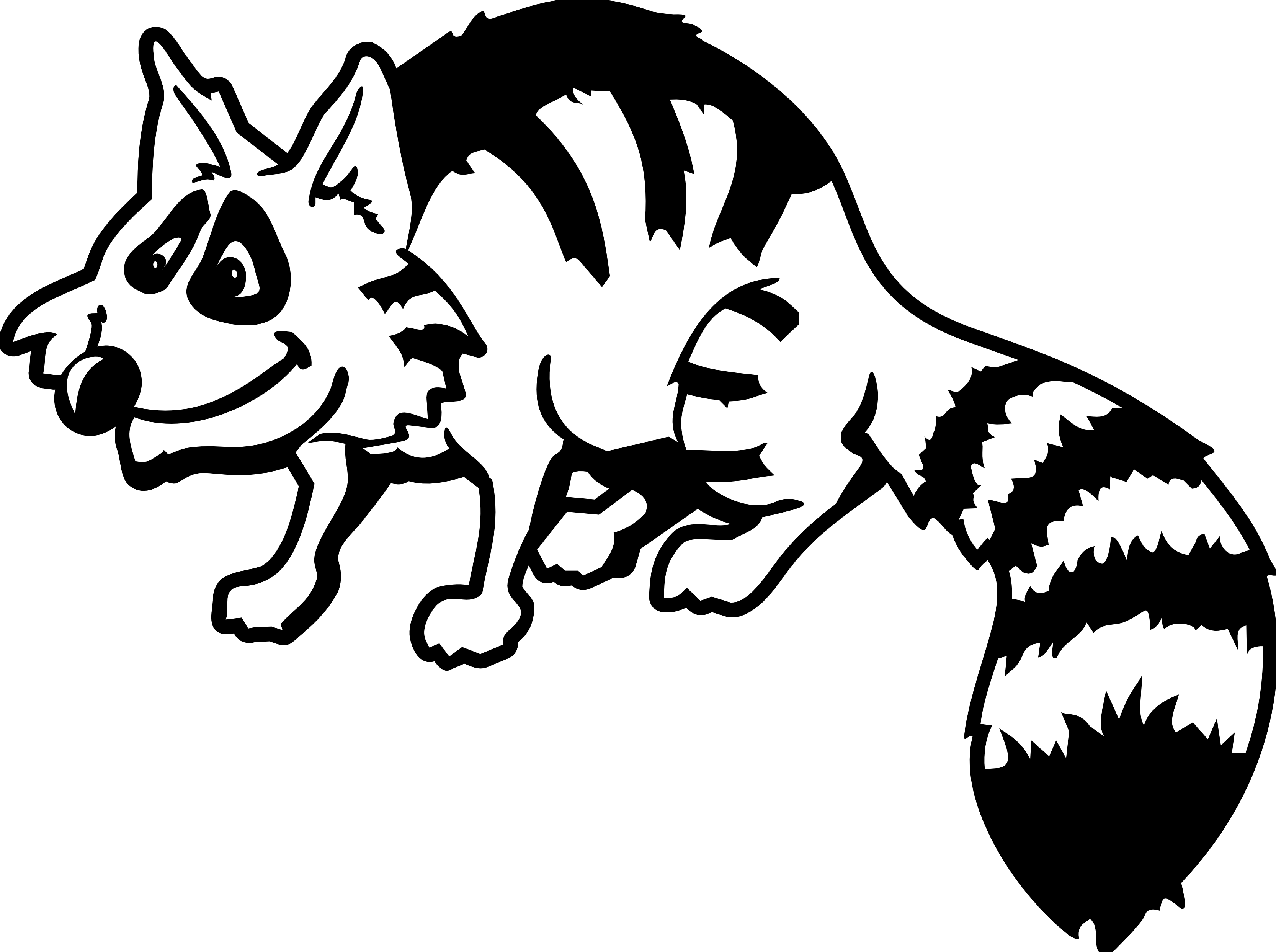 Free Racoon Clipart Black And White, Download Free Clip Art.