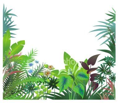 Jungle Trees Clip Art.