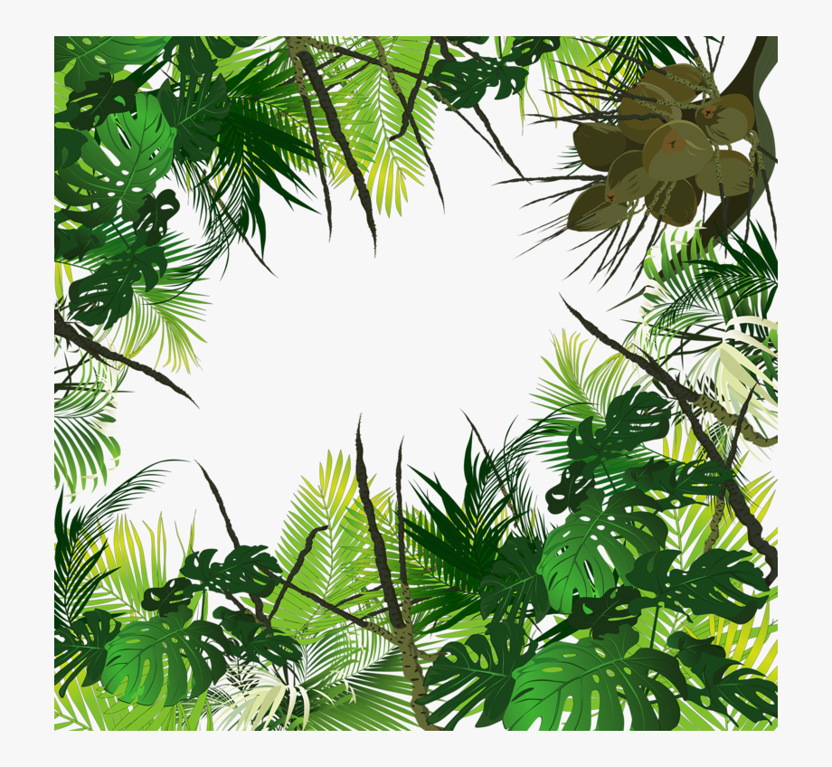 Waterfall Clipart Tropical Evergreen Forest.