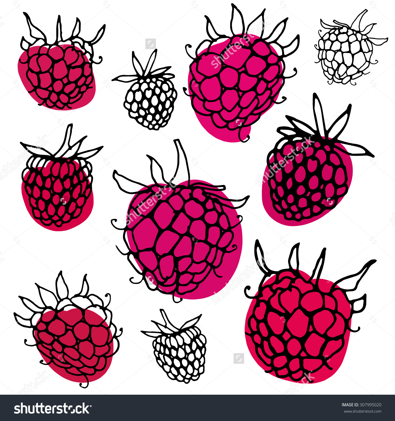 Raspberry Leaves Stock Vectors & Vector Clip Art.