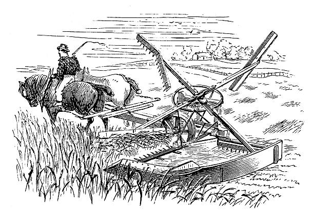 Ancient Reaping Machine Clip Art, Vector Images & Illustrations.