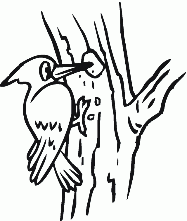 Woodpecker Clip Art.