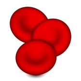 Red Blood Cells Clipart.