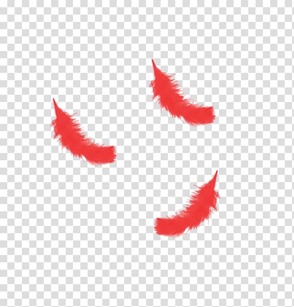 Red Feather transparent background PNG clipart.