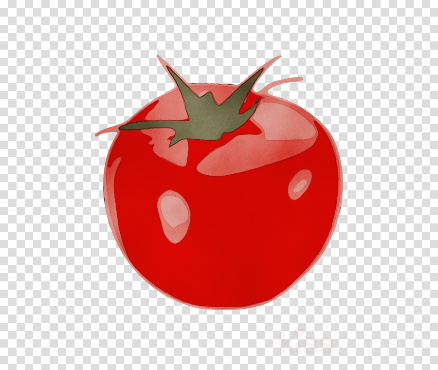 Tomato clipart.