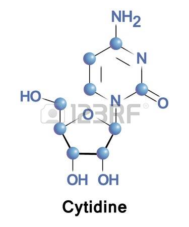 134 Ribose Cliparts, Stock Vector And Royalty Free Ribose.