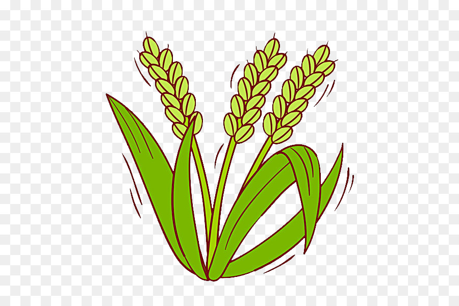 Cereal clipart rice plant, Cereal rice plant Transparent.