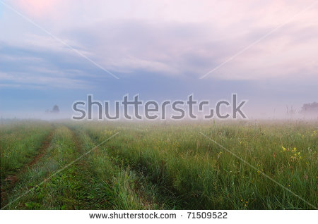 Foggy Field Banque d'Image Libre de Droit, Photos, Vecteurs et.