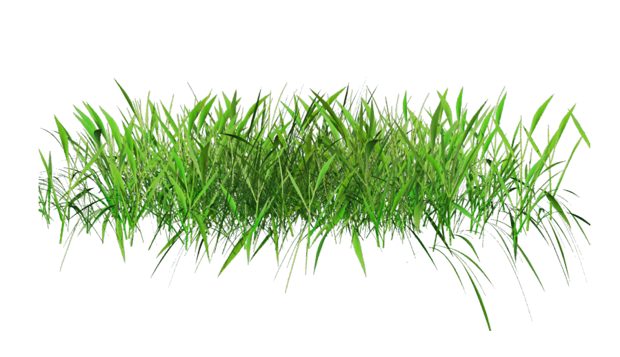 Rumput Png Free Download Clip Art.