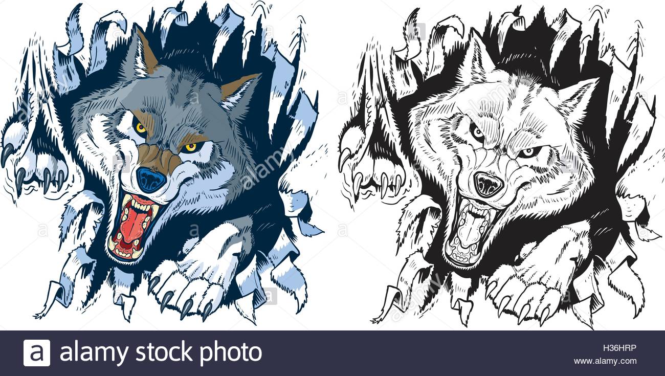 Wolf Teeth Drawing at GetDrawings.com.