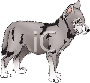 Clip Art Image: A Cute Wolf Pup.