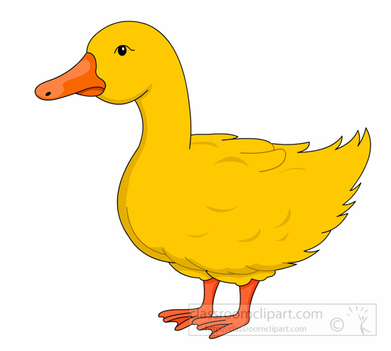 Ducks clipart wood duck, Ducks wood duck Transparent FREE.