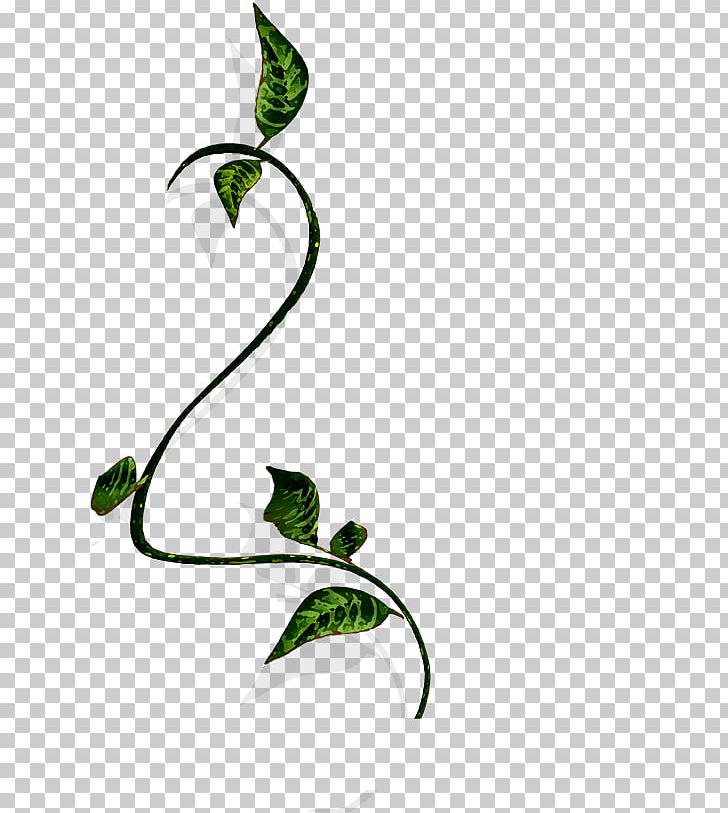 Branch Vine Wood PNG, Clipart, Area, Bird, Computer Icons.