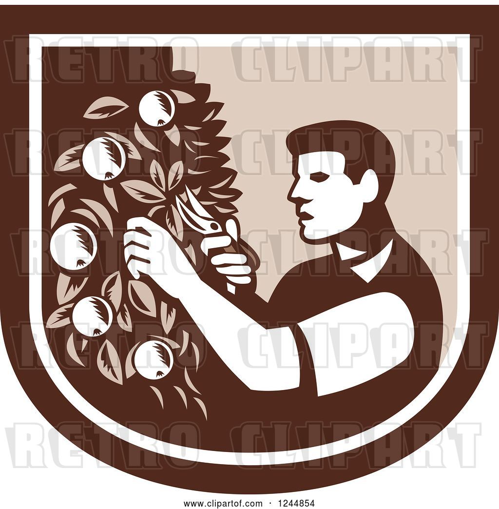 Vector Clip Art of Retro Woodcut Farmer Pruning Apple Trees.