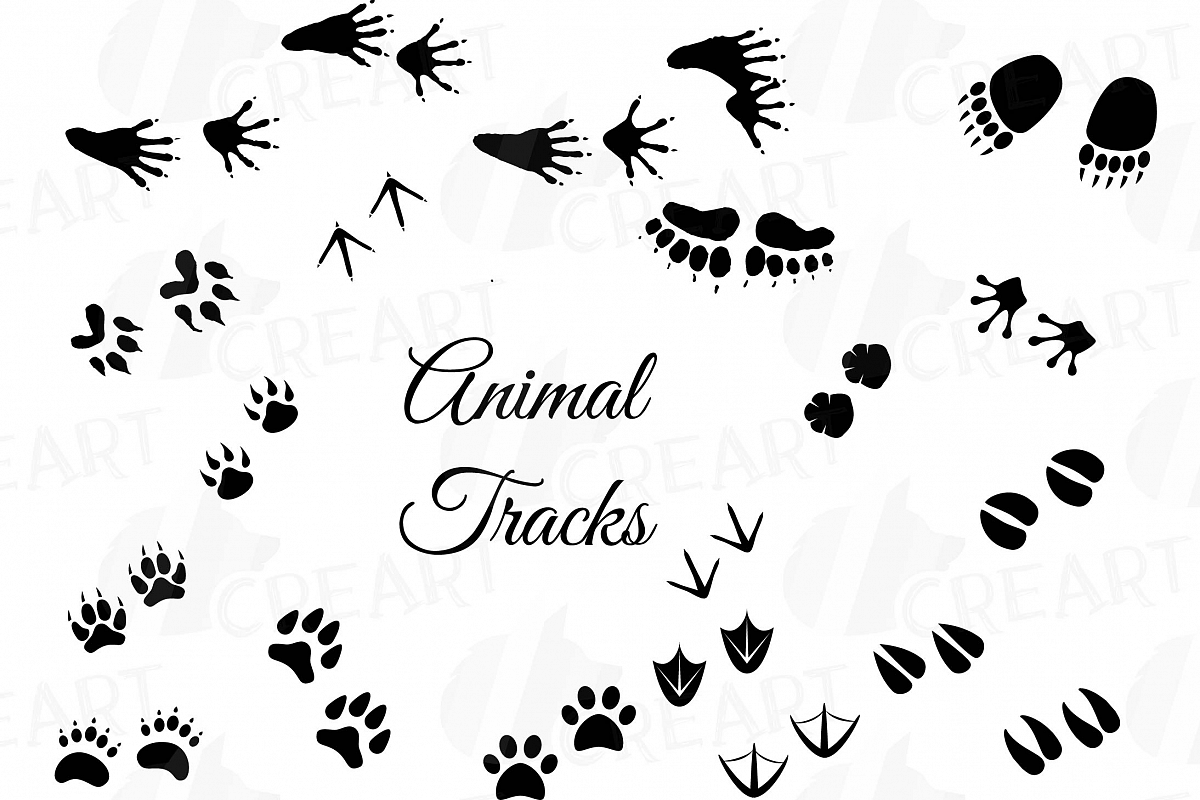 26541 Animals free clipart.