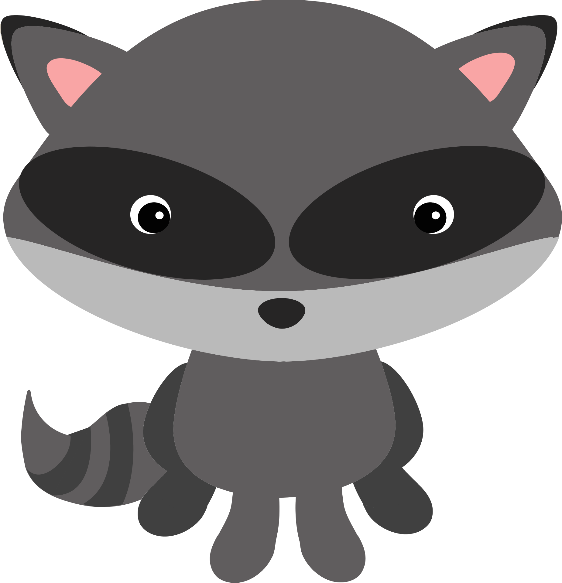 Download Raccoon T.